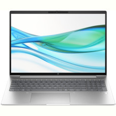 Notebook HP ProBook 460 G11 (8Z677AV_V3) Silver