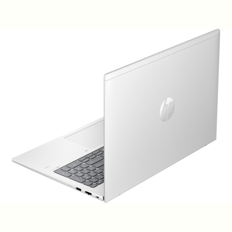 Notebook HP ProBook 460 G11 (8Z677AV_V3) Silver