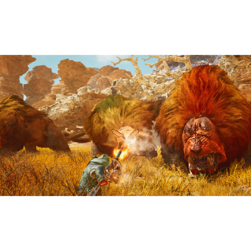 Games Software Monster Hunter Wilds [BD диск] (PS5) (5055060905029)