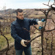 Bosch Pro Pruner (0.601.9K1.021)