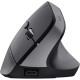 Trust Mouse Bayo 2 Ergonomic, BT/WL/USB-A, black (25146_TRUST)