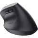 Trust Mouse Bayo 2 Ergonomic, BT/WL/USB-A, black (25146_TRUST)