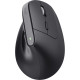 Trust Mouse Bayo 2 Ergonomic, BT/WL/USB-A, black (25146_TRUST)