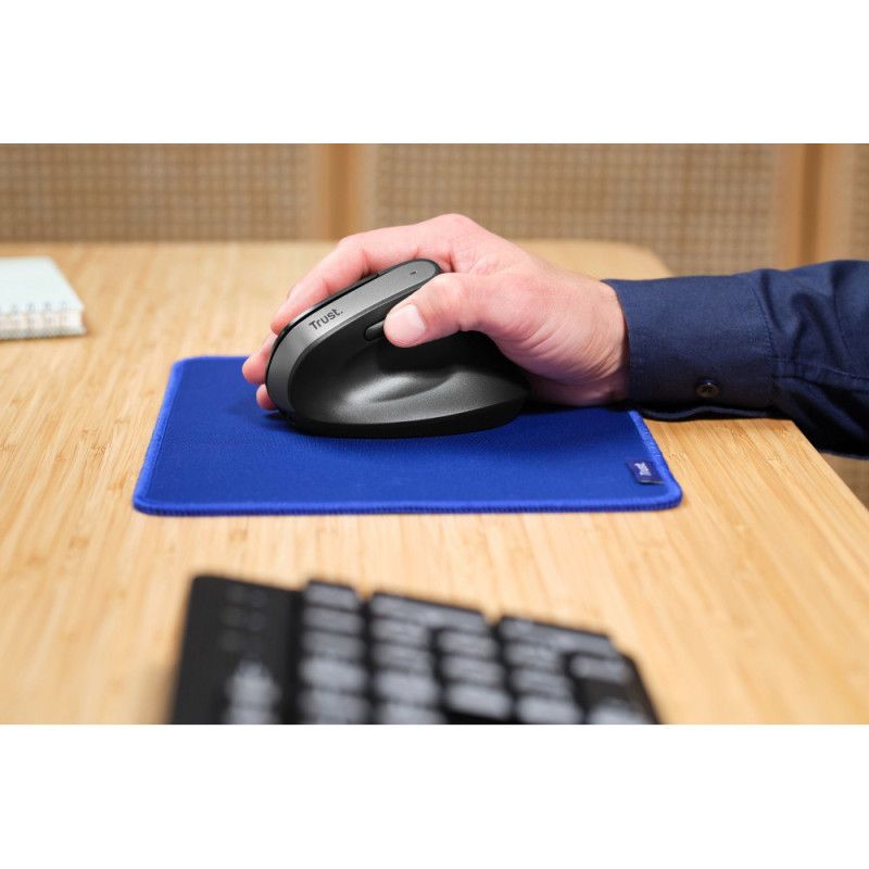 Trust Mouse Bayo 2 Ergonomic, BT/WL/USB-A, black (25146_TRUST)