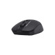 Мышка A4Tech FG12 Black (4711421958912)
