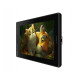 Huion Графічний монітор Huion Kamvas Pro 13 (GT133_HUION)