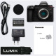 Panasonic Цифр. фотокамера DC-G9M2 Body (DC-G9M2EE)