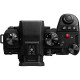 Panasonic Цифр. фотокамера DC-G9M2 Body (DC-G9M2EE)