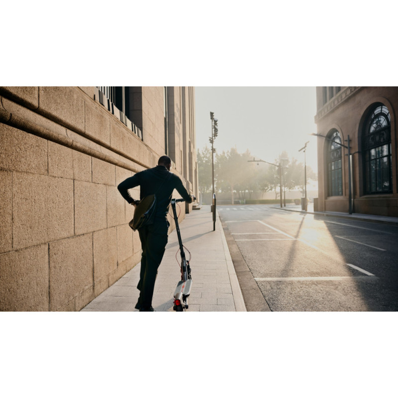 Segway Електросамокат F3 PRO E, сірий (AA.05.17.02.0003)