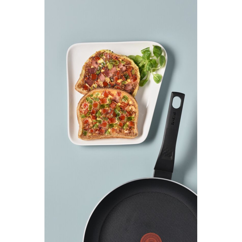 Tefal Frying pan Family Day, 28cm, aluminum, bakelite, glass, black (B5660653UA)