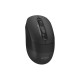 Мышка A4Tech FB10CS Wireless/Bluetooth Stone Black (4711421967594)