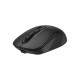 Мышка A4Tech FB10CS Wireless/Bluetooth Stone Black (4711421967594)