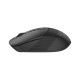 Мышка A4Tech FB10CS Wireless/Bluetooth Stone Black (4711421967594)