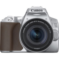 Canon EOS 250D kit 18-55 IS STM Silver (3461C003)