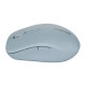 Мышка Canyon MW-12 Wireless/Bluetooth Blue (CNS-CMSW12BL)
