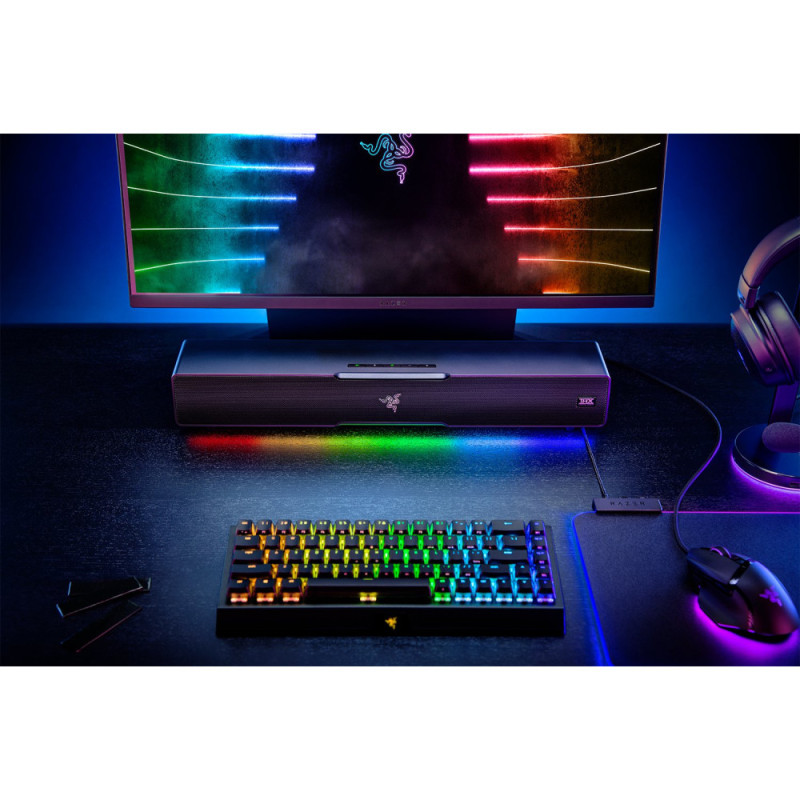 Razer Leviathan V2 7.1 USB-A/BT RGB, black (RZ05-03920100-R3G1)