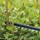 Bosch battery-powered hedge trimmer UniversalHedgeCut 18V-50 18V 50cm cutting step 20mm 2.3kg without battery and spare part (0.600.849.K00)