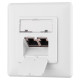 2E Front fase panel 2х Keystone 80x80 with grounding (2E-FASEPAN-2GROUND)