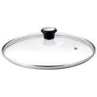 Tefal Lid, 24cm, glass, stainless steel, bakelite, transparent (28097512)