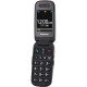 Мобильный телефон Panasonic KX-TU446 Red (KX-TU446EXR)