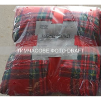 ARDESTO Плед Ardesto Christmas Flannel 160х200см, 100% поліестер, клітинка, червоний (ART0133PB) ARDESTO Плед Ardesto Christmas Flannel 160х200см, 100% поліестер, клітинка, червоний (ART0133PB)