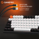 Клавиатура GamePro MK160 V2 Warden QLAB Sakura Linear RGB USB UA Black (MK160-V2-B-QS)