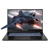 Dream Machines Notebook RG5060-17 17.3FHD IPS, Intel U9-275HX, 16GB, F1TB, NVD5060-8, DOS, black (RG5060-17UA23)