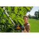 Stiga STIGA cordless hedge trimmer SHT500AEkit 48V 2A·h 58cm cutting step 18mm 3.7kg (SHT500AEKIT)