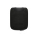 Акустическая система Canyon OnMove 9 Black (CNE-CBTSP9)