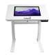 Интерактивный стол Intboard STADY 24 white MTK8788/8 Gb RAM/128 Gb ROM Android 13 (10604007)