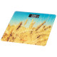 ARDESTO Scales for floor WHEAT, 150кг, 2хААА included, glass, multi-colored (SCB-965WHEAT)