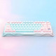 GravaStar Mechanical keyboard GravaStar Mercury K1 Lite 80keys, GravaStar x BSUN Grey, BT/WL/USB, Aurora Mist (GSK1LITE_PM_MINT)
