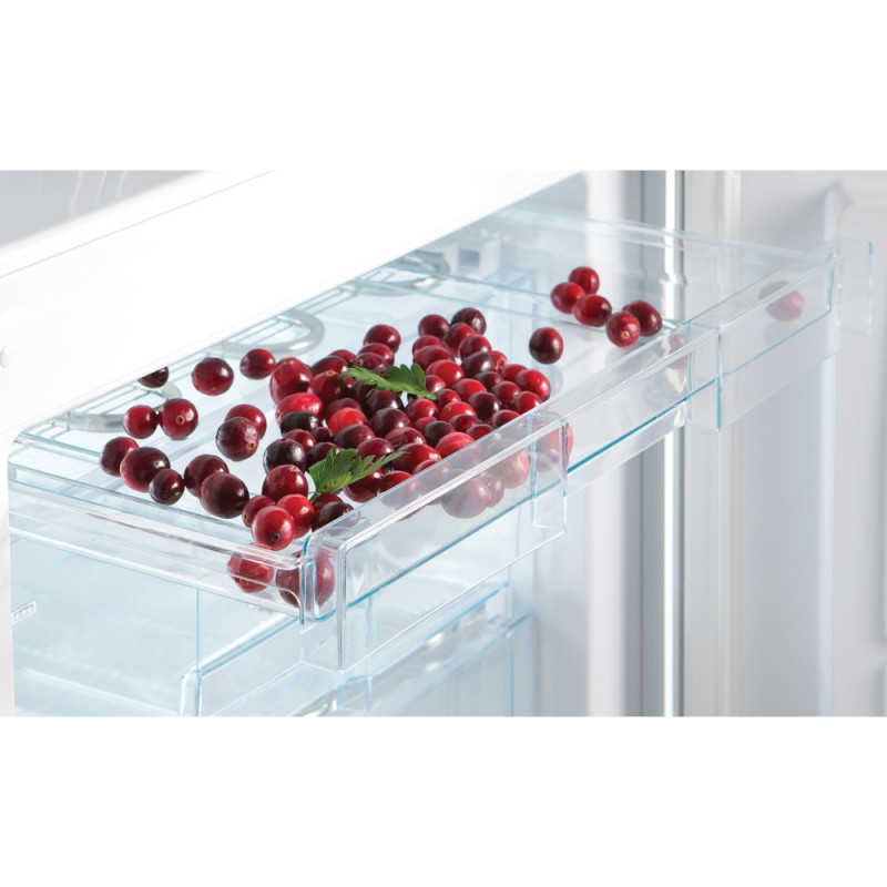 SNAIGE Ref with bottom freezer, 185x60х65, ref-214L, freez.-88L, 2doors, A++, ST, green grey (RF56SM-S5EZ2E)