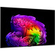 Телевизор LG OLED65G64LW