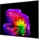 Телевизор LG OLED65G64LW