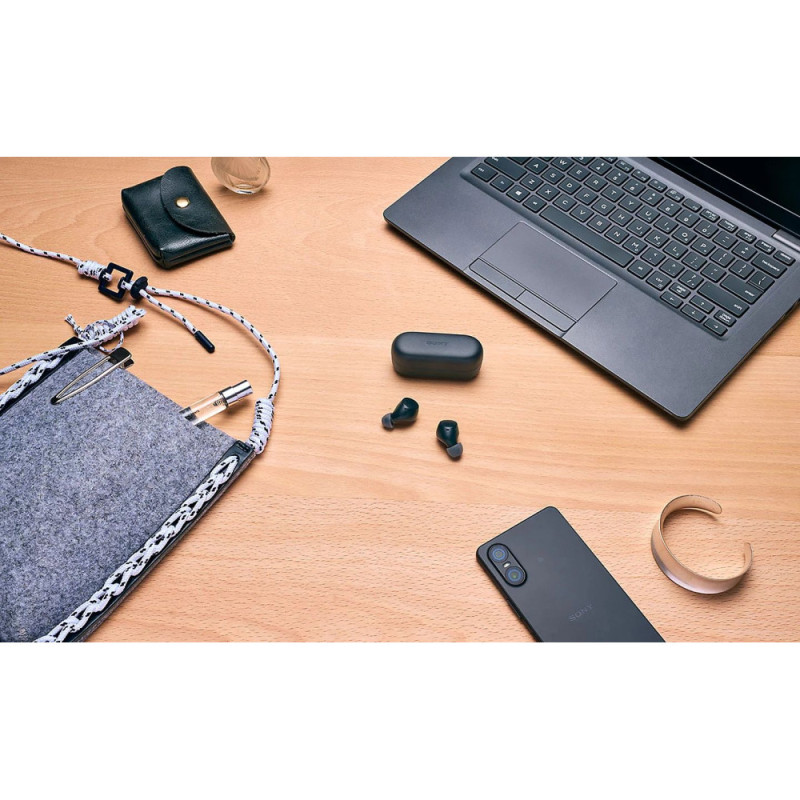 Sony Навушники TWS WF-C510 BT 5.3, IPX4, SBC, AAC, Mic, Чорний (WFC510B.CE7)