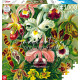 GoodLoot Ernst Haeckel Orchid 1000 (5908305247531)