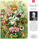 GoodLoot Ernst Haeckel Orchid 1000 (5908305247531)