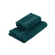 ARDESTO Terry towel Benefit, 50х90cm, 100% cotton, conifer (ART2450CN)