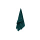 ARDESTO Terry towel Benefit, 50х90cm, 100% cotton, conifer (ART2450CN)