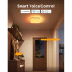 Govee Потолочний світильник H60A4 30cm Smart Square Ceiling Light, RGBWW + RGBIC, WI-FI/Bluetooth, білий (H80A4C01)