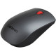 Lenovo Professional Wireless Keyboard and Mouse Combo - Ukraine (4X31D64775)