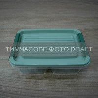 ARDESTO Контейнер двосекційний для зберігання харчових продуктів ARDESTO Fresh 2х0.25л, пластик, прямокутна, зелений (AR1302G)