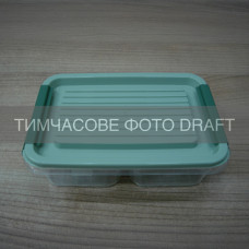 ARDESTO Контейнер двосекційний для зберігання харчових продуктів ARDESTO Fresh 2х0.25л, пластик, прямокутна, зелений (AR1302G)