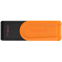 Kingston Накопитель Kingston 256GB USB 3.2 Type-A Gen1 DT Exodia S (DTXS/256GB)