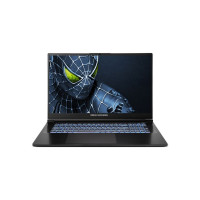 Ноутбук Dream Machines RG5050-17 (RG5050-17UA35)