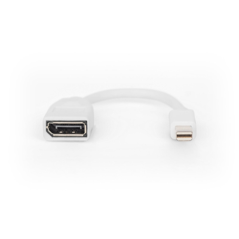 Digitus DisplayPort adapter cable, mini DP - DP M/F, 0.15m, DP 1.2 conform, white (DB-340405-001-W)