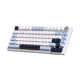 Клавиатура GamePro MK160 V2 Warden QLAB Sakura Linear RGB USB UA White (MK160-V2-BL-QS)