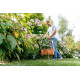 Bosch Garden trimmer EasyGrassCut 26, 280W, 26cm, 1.9kg (0.600.8C1.J01)