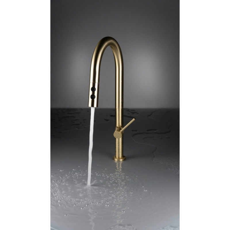 Deante Kitchen set Olfato steel sink ZPO_R10A + tap BQO_R72M, brushed gold (ZPOER10A)